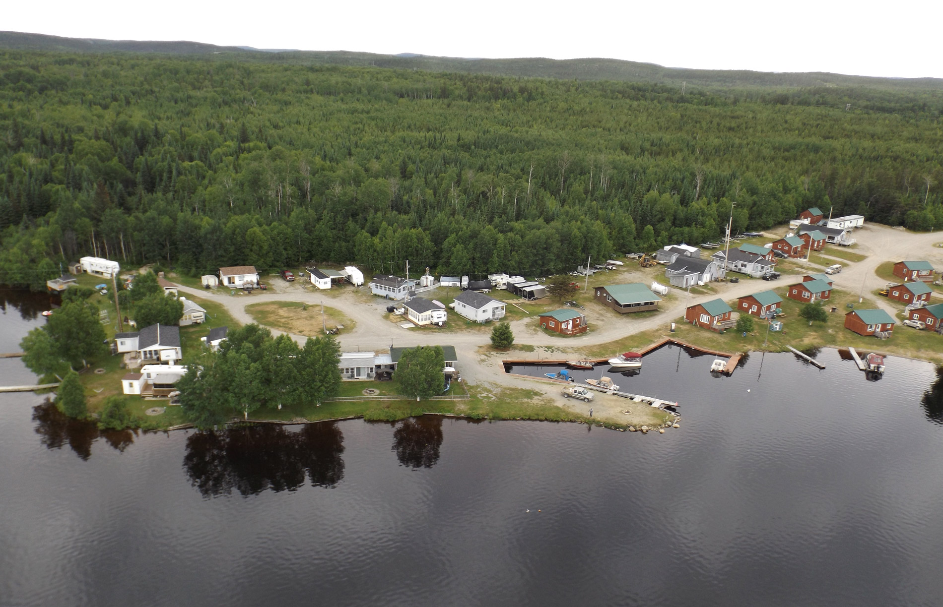 Forfaits de chasse au gros gibier à l'orignal — Camp Denis – Camp Denis